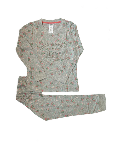 Mädchen Schlafanzug Langarm Grau Gr. 134